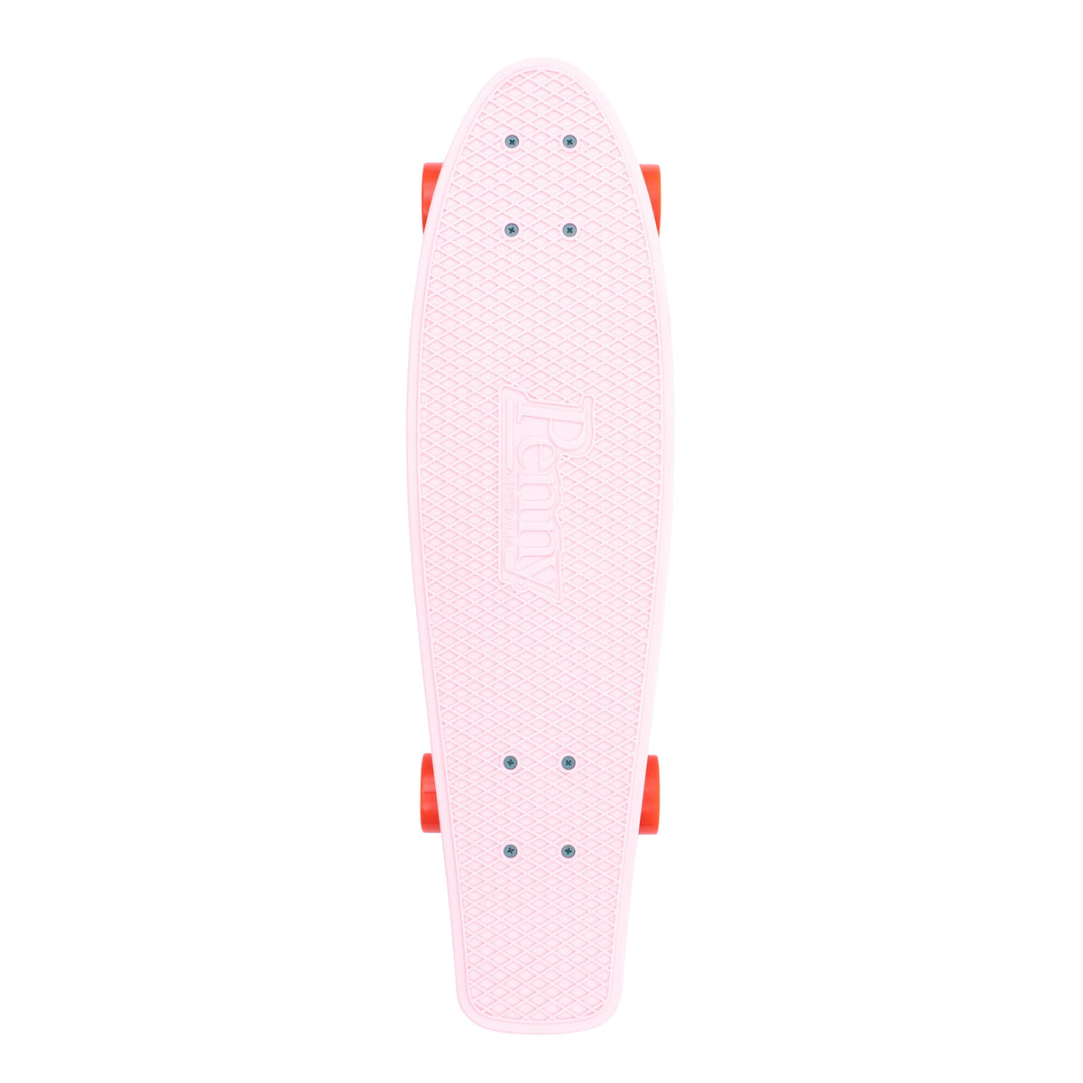 Cactus Wanderlust 27"